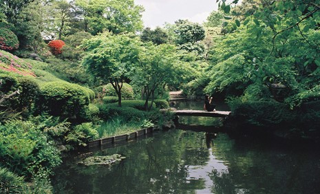 シャンボール池田山 公園