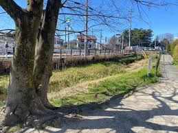 グレイス二子玉川 公園