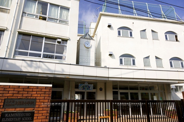 目黒区上目黒４丁目　売地　A区画 小学校