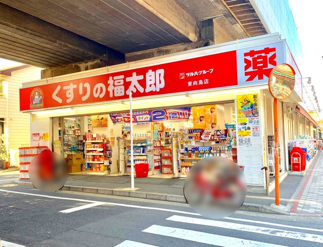 東急ドエル・アルス向島 ドラッグストア