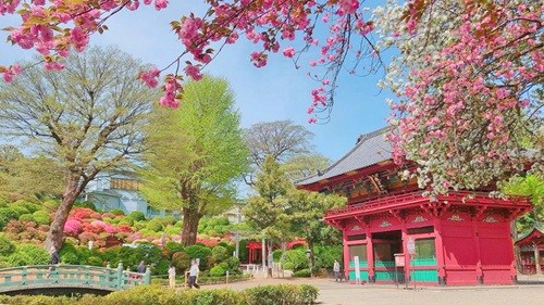 モンテベルデ千駄木 その他