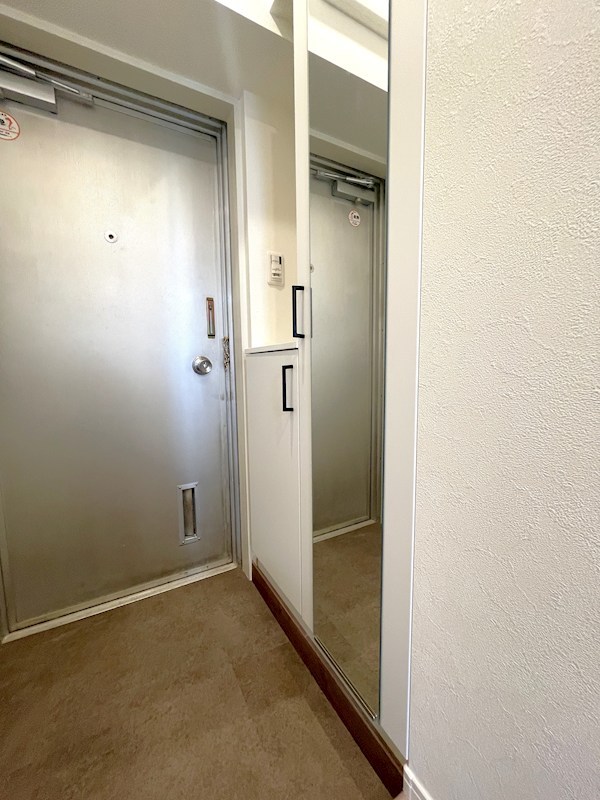 ミニカムマンション 現地写真（玄関）