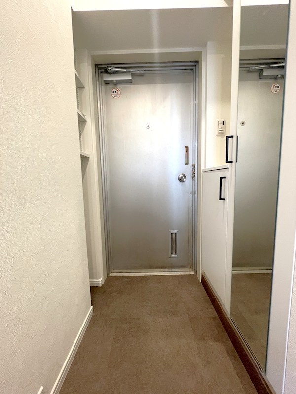 ミニカムマンション 現地写真（玄関）