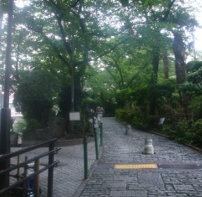 ザ・パークハウス池田山 公園