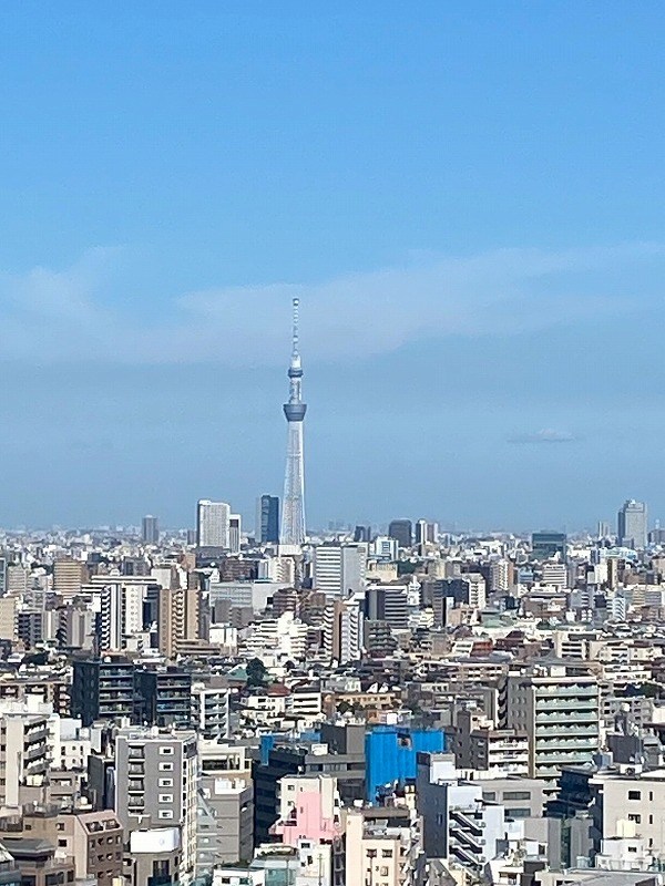 ライオンズタワー池袋 眺望写真