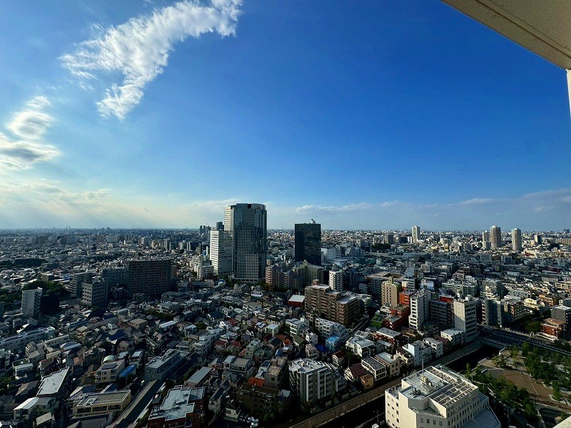 ザ・パークハウス西新宿タワー６０ 眺望写真
