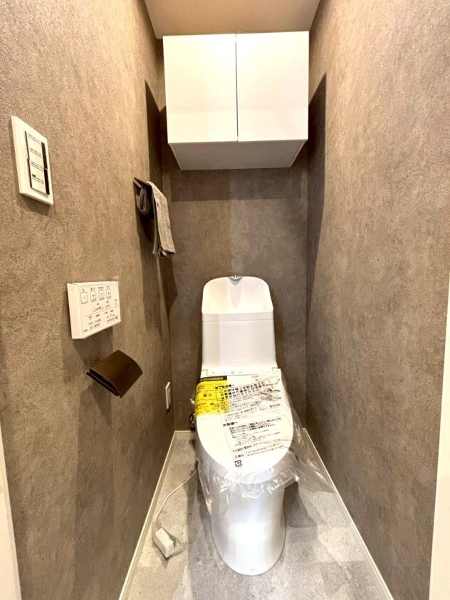 ドミール三友 内観写真（トイレ）