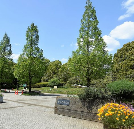 ドミール三友 公園