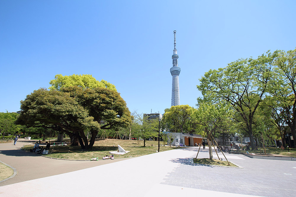 業平橋住宅 公園