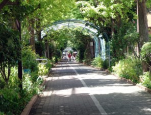 サンクタス大島 公園
