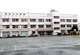 ニュー奥沢ハイツ 小学校