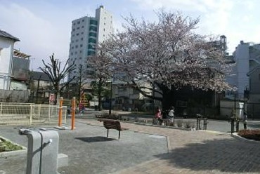 ザ・パークハウス三軒茶屋タワー 公園