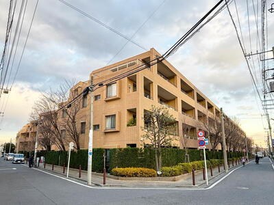 マスターズガーデン世田谷桜 現地写真