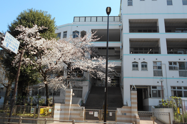 マジェスティハウス新宿御苑パークナード 小学校