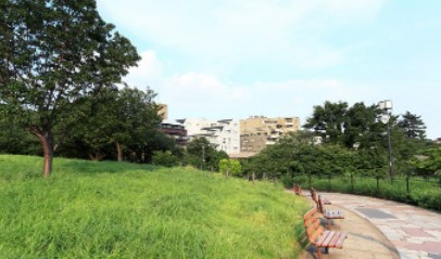 ザ・パークハウス代官山 公園