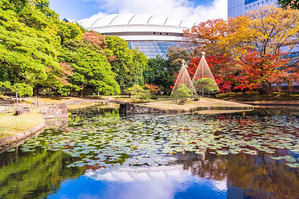 フォルム小石川 その他