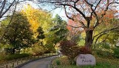 スカイフォレストレジデンス 公園