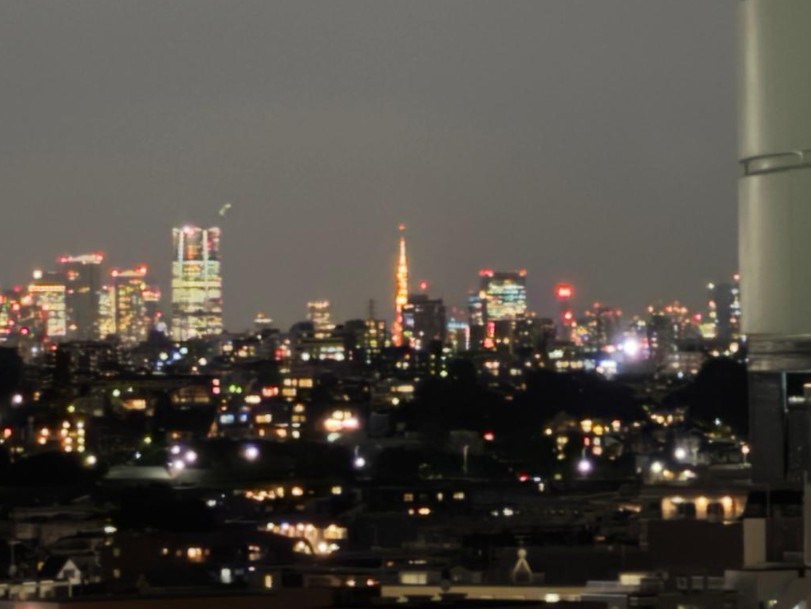 パークシティ溝の口Ｃ棟 眺望写真