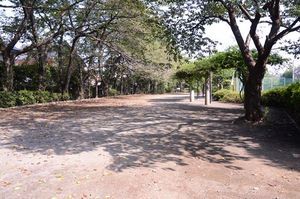 ライオンズヒルズ調布つつじヶ丘弐番館 公園