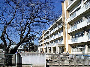 ライオンズヒルズ調布つつじヶ丘弐番館 小学校