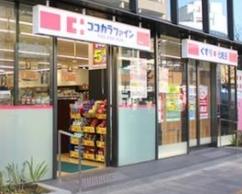 ダイアパレス新宿一丁目 ドラッグストア