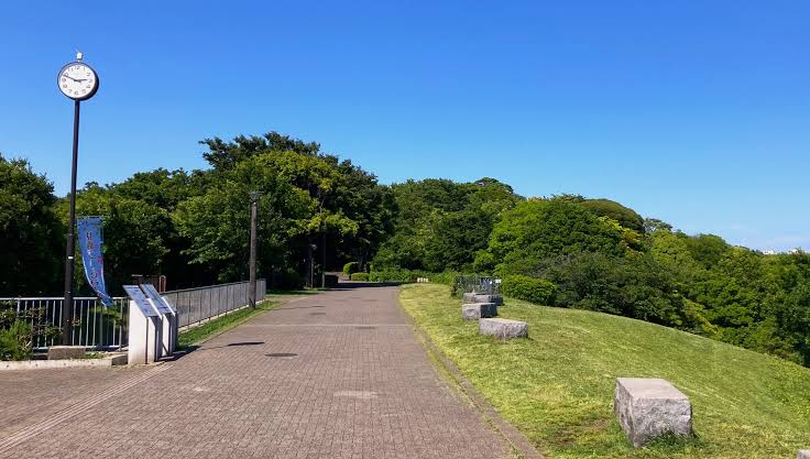 シーガルポート新本牧 公園