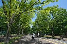 第１フォンタナ駒沢 公園