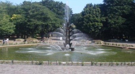 三軒茶屋ターミナルビル 公園