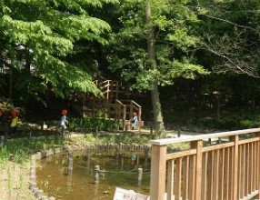 朝日上野毛マンション 公園