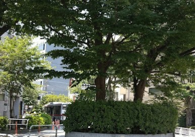 メガロン大井町 公園