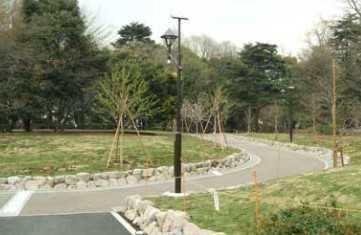 江古田第３ローヤルコーポ 公園