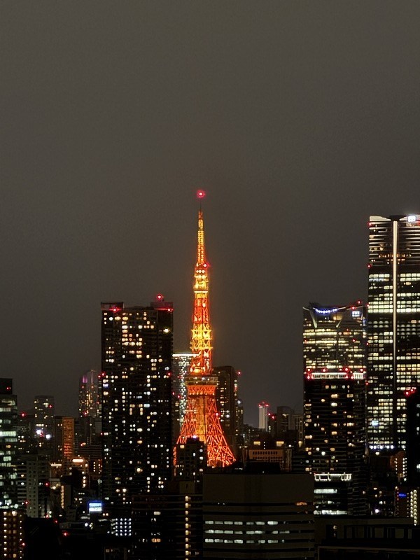 アーバンドックパークシティ豊洲タワーＡ 眺望写真
