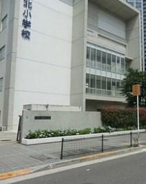 アーバンドックパークシティ豊洲タワーＡ 小学校