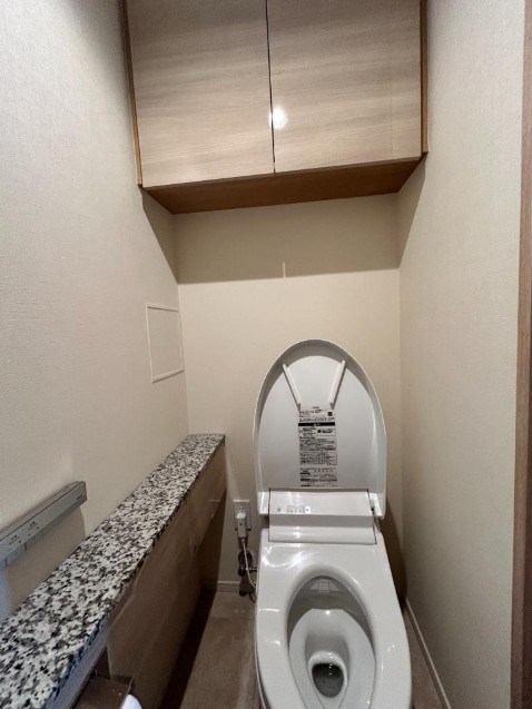 ブランズタワー豊洲 内観写真（トイレ）