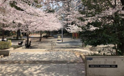 コンパートメント東京中央 公園