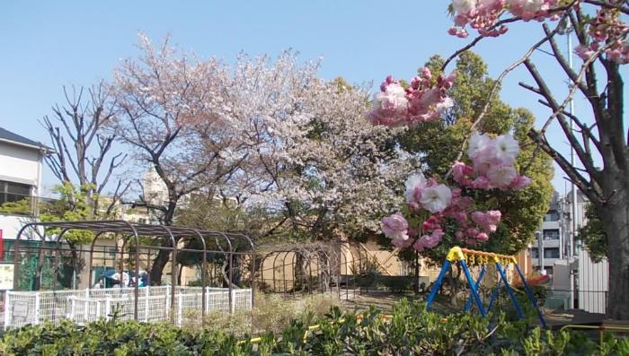 グリーンキャピタル上池台 公園