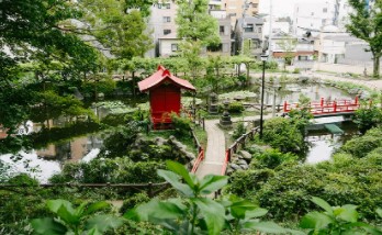 プラウド文京千駄木 公園