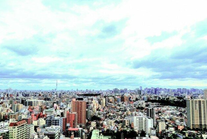ライオンズタワー池袋 眺望写真