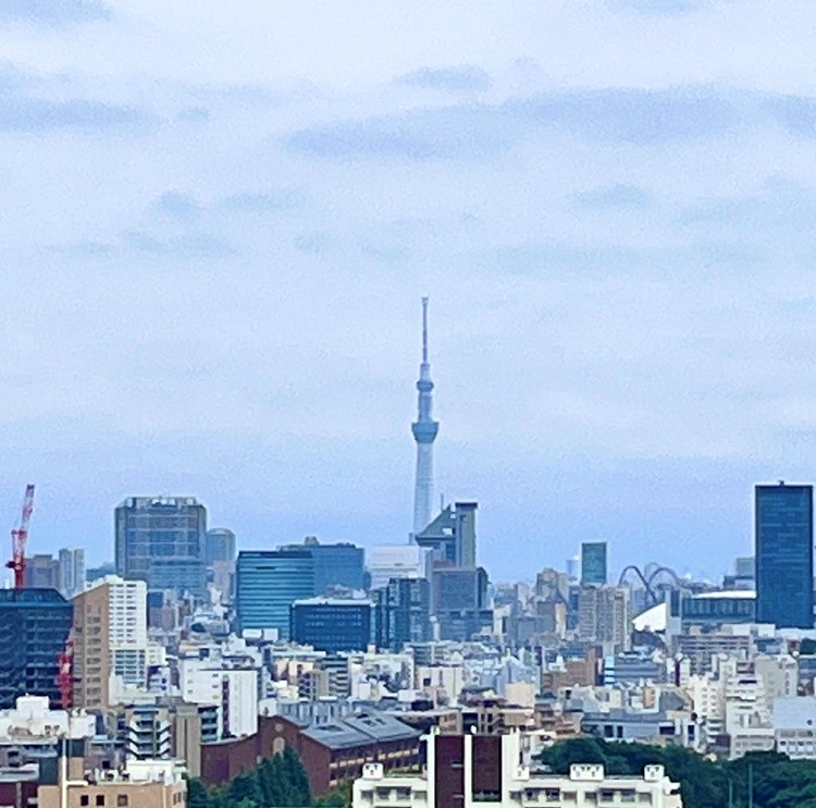 西戸山タワーホウムズノースタワー 眺望写真