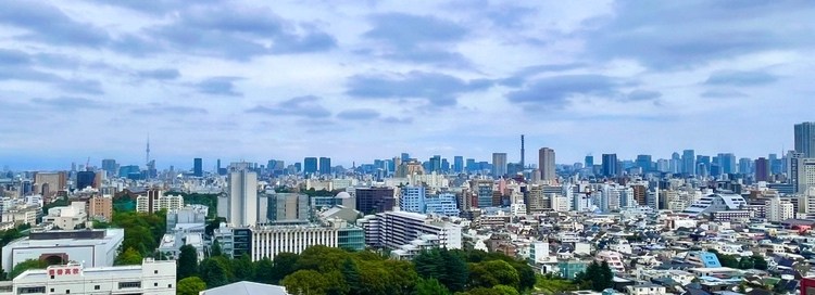 西戸山タワーホウムズノースタワー 眺望写真