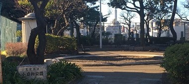メゾン文京関口Ⅱ 公園