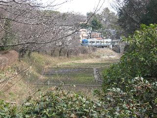 グレンパーク駒場ＥＡＳＴ 公園