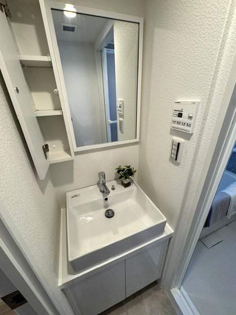 田園調布コーポラス 内観写真（洗面台・洗面所）