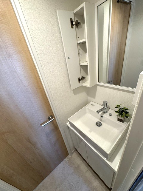 田園調布コーポラス 内観写真（洗面台・洗面所）