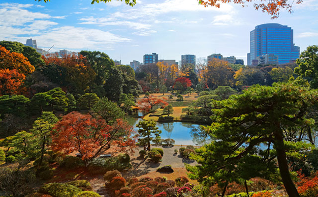 オープンレジデンシア六義園サウスコート 公園