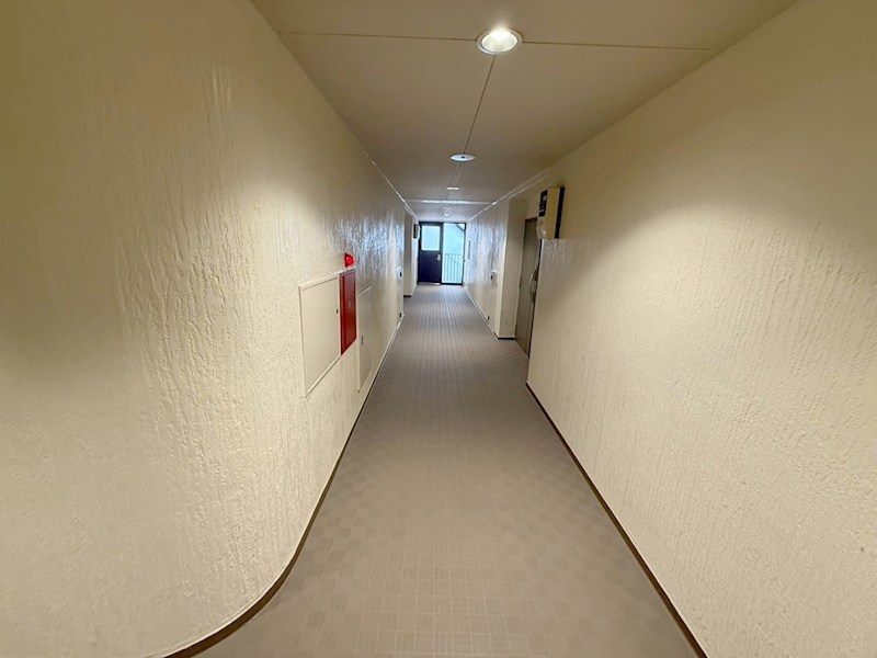 ヴィラロイヤル三番町 共用部写真（その他）