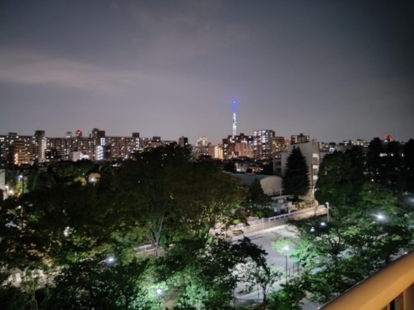 ハイラーク大島 眺望写真