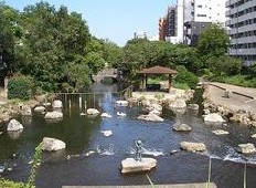 ハイラーク大島 公園