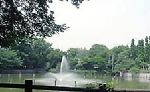 パーク・ハイム学芸大学センターコート 公園