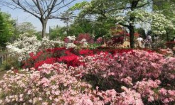 カーサ中村 公園